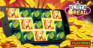 5555q